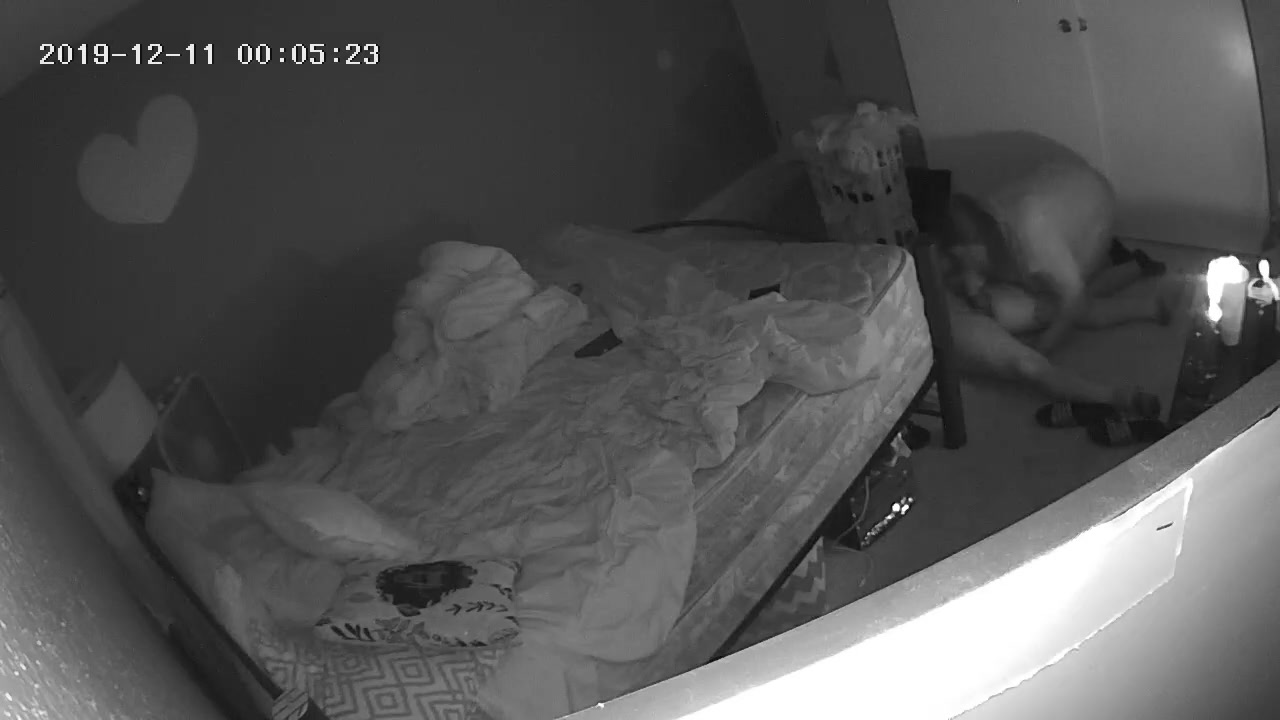 Caught on Night Cam watch online picture picture