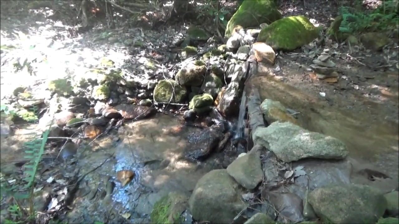 Naked Stream Bathing- no Sex- Outdoor Sexxy Chubby MILF Frangelica PFC Hair watch online photo
